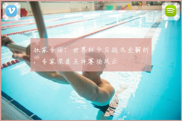 独家专访：世界杯今日战况全解析，专家深度点评赛场风云