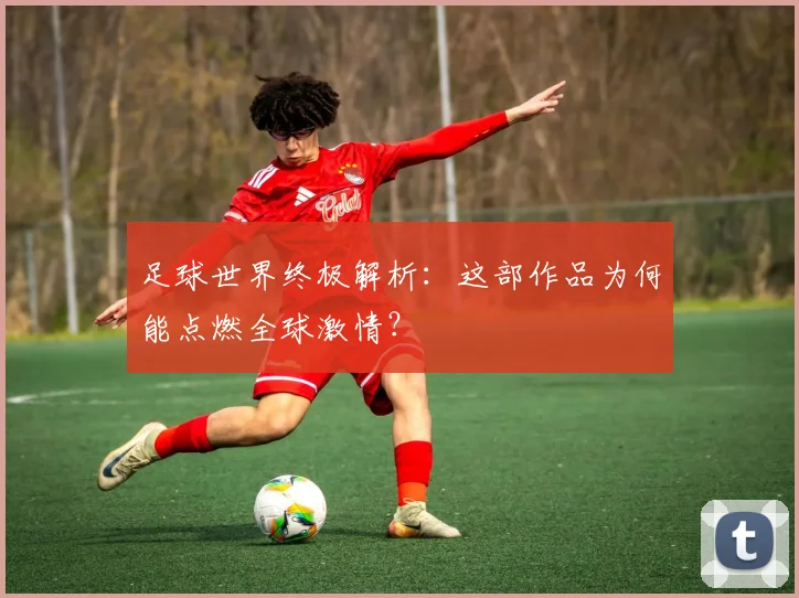足球世界终极解析：这部作品为何能点燃全球激情？