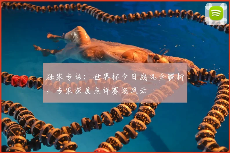 独家专访：世界杯今日战况全解析，专家深度点评赛场风云